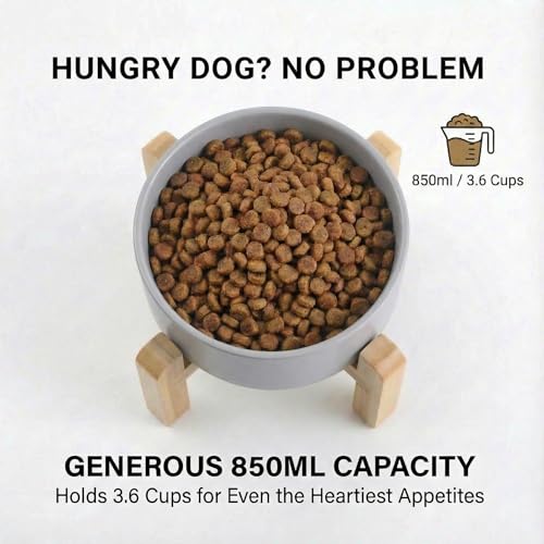 hjn Elevated Ceramic Dog Bowl 15°Slanted Raised Dog Bowl with Bamboo Stand for Small Medium Dogs and Cats, Pet Feeder-3.6-Cup (850ml)-Gray - color: Misty Gray, size: 3.6Cup
