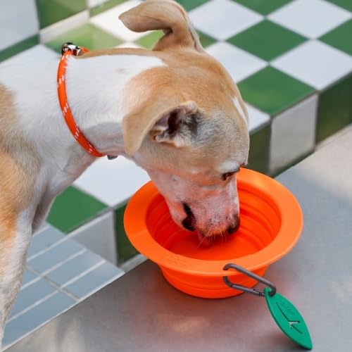 Collapsible Silicone Dog Bowl (Orange) - color: Orange