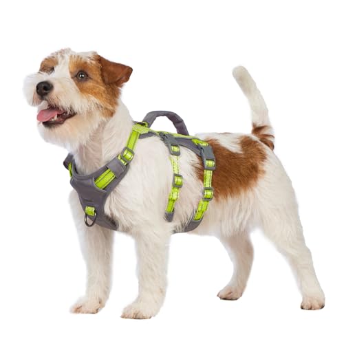 Huntboo Reflective Dog Harness with Handle, Escape Proof, No Slip, Breathable, Lightweight, Adjustable Lift Harness for Small,Medium,and Large Dogs Walking, Training, and Running Gear(Bright Green,XS) - color: Bright Green, size: X-Small(Pack of 1)