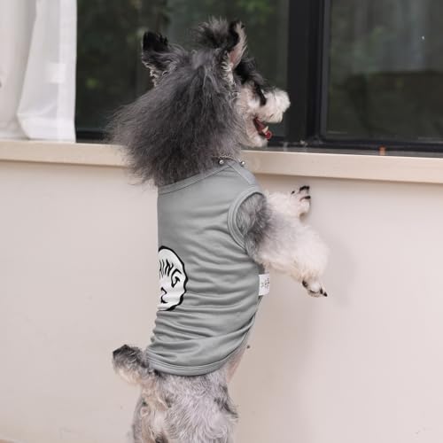CuteBone Dog Shirts 2-Pack Soft Pet Clothes Breathable Summer Vest for Small Puppy and Stretchy Cat Apparel - color: Boy thing 1 thing 2, size: Small