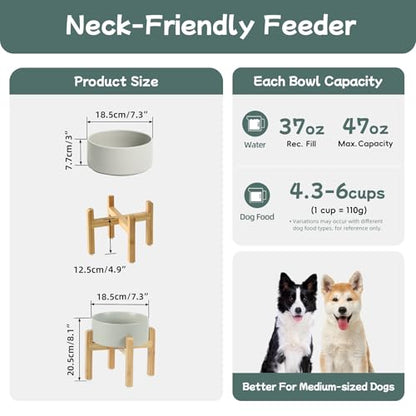 Havniva 7.3” Dog Bowls Elevated Ceramic Dog Food and Water Bowl Set, Double Raised Dog Water Bowl with Stand Non-Slip Rubber Base Large Capacity Feeding Pet Food Bowl for Medium Dogs - color: Matte Gray - Bowl+Stand, size: 7.3 Inch