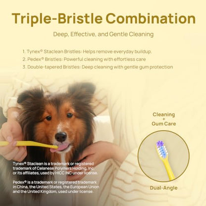 HICC PET Toothbrush for Cats & Small Dogs,Ergonomic Pet Toothbrush for Easy Teeth Cleaning,Gentle on Gums, Cat & Dog Dental Care – Toothpaste Not Included - color: Yellow for Cats & Small Dogs