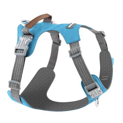 No Pull Dog Harness – Adjustable Reflective Nylon Vest for Small Medium Large Dogs, Escape Proof Training Harness with Leather Control Handle, Lightweight Aluminum Hardware (Cyan, XL) - color: Cyan, size: XL