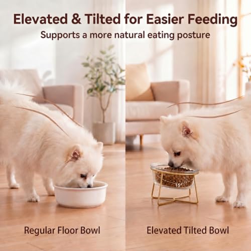Small Glass Tilted Elevated Cat Dog Bowl Raised Cat Food Water Bowl Dish Pet Comfort Feeding Bowls with Gold Iron Stand - color: Glass, size: Small