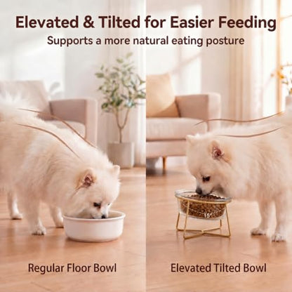 Small Glass Tilted Elevated Cat Dog Bowl Raised Cat Food Water Bowl Dish Pet Comfort Feeding Bowls with Gold Iron Stand - color: Glass, size: Small