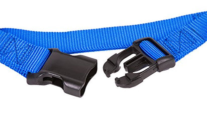 GOGO Pet Products 5/8-Inch Martingale Dog Collar, Small, Blue - color: Blue, size: Small (5/8" web width)