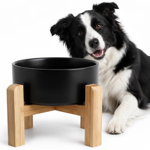 hjn Elevated Ceramic Dog Bowl with Bamboo Stand, Raised Pet Feeding Station for Small Medium Dogs Cats, Modern Design with Anti-Slip Base (Black, 7.6Cup) - color: Black, size: 7.6Cup