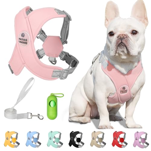 Patas Lague Dog Harness with Leash Set Adjustable Soft Padded Step-in Dog Vest No Choke No Pull Reflective for Small Medium Pets with Poop Bags and Dispenser, Solid and No-chew, Pink M - color: Pink, size: M (Neck 19.3-23.3'' Chest 22.5-25.6'')