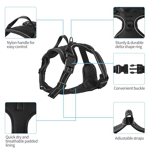 Black Adjustable Reflective No-Pull Dog Harness with 2 Leash Clips，Soft Padded Vest for Small Dog, Easy to Put on and Take Off,Black Small - color: Black, size: Small