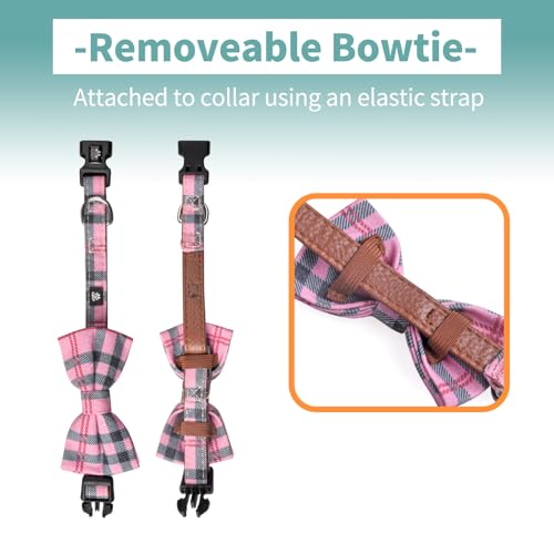 IVY&LANE Dog Collar with Bowtie and Leash Set | Plaid Adjustable Dog Collar | Detachable Bow Tie |5 FT Dog Leash | for Small Medium Large Dogs | Checkered Pink | Small - color: Checkered Pink, size: S