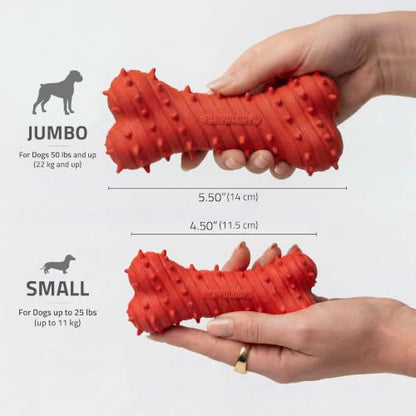 Playology Dog Toys | Teething Bone for Puppies and Young Dogs | Beef Scented Small Dog Bone Chew Toy | Teething Puppy Essentials - size: Small, style: Beef