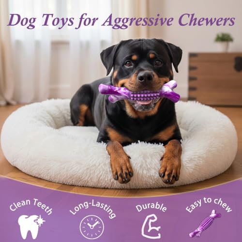 Dog Chew Toys for Aggressive Chewers, Rubber Branch Bone & Durable Nylon Dog Bones with Beef Flavor, Indestructible Dog Toys for Medium Large Dogs - color: 01-Purple