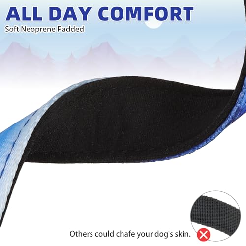 KOOLTAIL Martingale Collar for Dogs for Small Medium Large Dogs, Soft Padded Nylon No Pull Dog Collar with Buckle, Adjustable No Slip Heavy Duty Durable Puppy Training Collar for Boys Girls, Blue M
