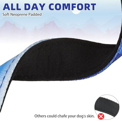 KOOLTAIL Martingale Collar for Dogs for Small Medium Large Dogs, Soft Padded Nylon No Pull Dog Collar with Buckle, Adjustable No Slip Heavy Duty Durable Puppy Training Collar for Boys Girls, Blue M
