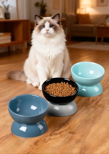 ABRUTY Cat Water Bowl, 16 OZ Ceramic Elevated Cat Bowls, 15° Tilted and Raised Pet Food Dish, Anti Vomiting Protect Pets' Spines and Whisker Fatigue, Blue - color: Blue, size: 1 Pack