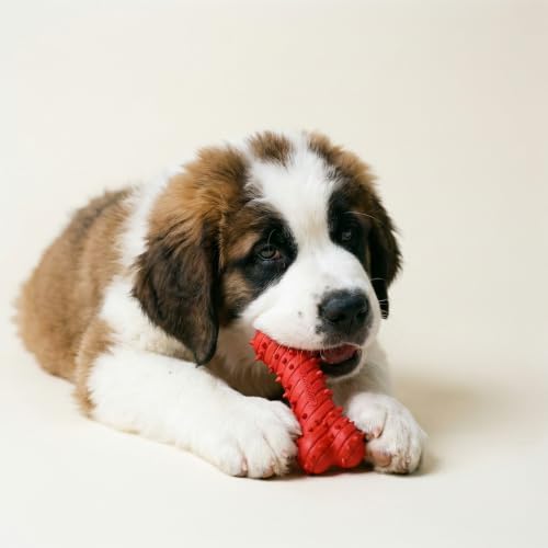 Playology Dog Toys | Teething Bone for Large Puppies and Young Dogs | Beef Scented Jumbo Dog Bone Chew Toy | Teething Puppy Essentials - size: Jumbo, style: Beef