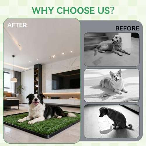 Artificial Grass Potty Pad for Dogs, 20x30 Inch Indoor Dog Litter Box with Tray, 2 Reusable Turf Pads & Washable Pee Pad, Portable Pet Potty System for Balcony, Patio, Apartment - size: Large-2 Grass Pad with Changing pad