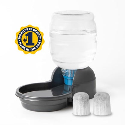 Petmate Replendish Automatic Dog Water Dispenser Gravity Pet Waterer with Microban Protection Base, 100% BPA Free - 1 Gallon, Wide Mouth Bowl, with 2 Extra Filters - size: Small