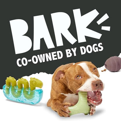 Barkbox Super Chewer Tough Dog Chew Toys for Aggressive Chewers, Dental Stimulating (Radius - Large) - color: Radius - Large, size: Medium/Large