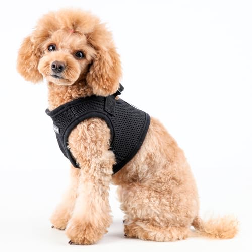 PUPPIA International Puppia Harness Soft B Vest Black Small - color: Black, size: Small