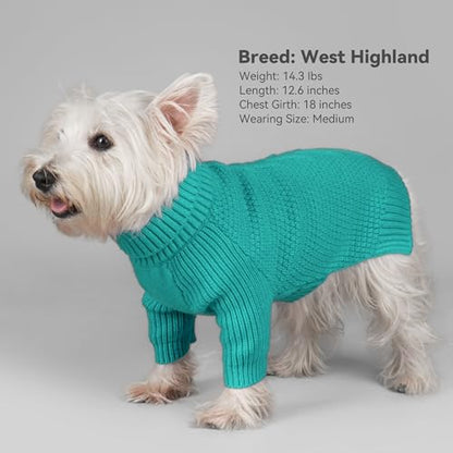 cyeollo Warm Fleece Dog Sweater, Tureleneck Sweatershirt for Small Boy & Girl Dogs Pullover Doggy Clothes in Cold Weather Stretchy Fall Winter Pet Outfit Puppy Coat, Aqua Green M - color: Aqua Green, size: Medium