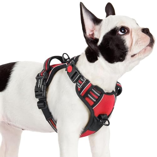 rabbitgoo Dog Harness Small Sized, No Pull Pet Harness with 3 Buckles, Adjustable Soft Padded Vest with Control Handle, Walking Reflective Pet Vest for Small Dogs, Red, S - color: Red, size: Small