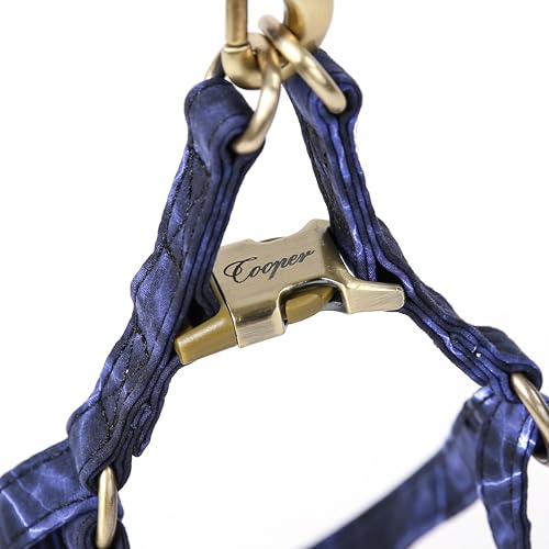 Angie and Allie Organic Cotton Personalized Step in Dog Harness,Custom Dog Halter Vests,Adjustable No Pull Canine Halter Harness for Small Medium Large Dogs - color: Aurora, size: XS