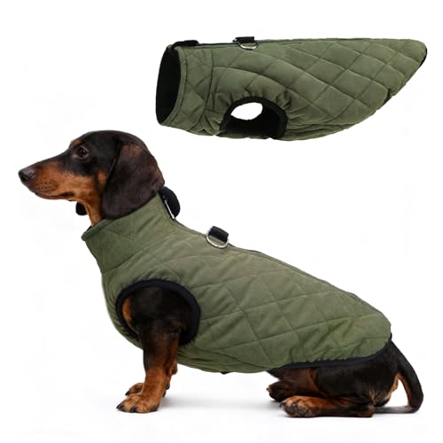 SCENEREAL Dachshund Winter Dog Vest Coat with Harness Built in, Warm Puppy Jacket for Small Medium Dogs, Cold Weather Coat with Zipper, Fleece Puffer Vest Windproof Snow Clothes - color: #1 Olive-Matte, size: L(Chest 20.5")-Dachshund