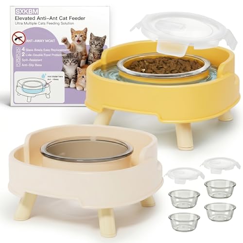 2 Pack Ant Not Cross Elevated Cat Bowls Mess Proof-4 Food Grade Glass Bowls & 2 Lids- No Spill Cat Food and Water Feeding Station for Cats&Puppy Indoor & Outdoor,No Whisker Fatigue Dish - color: Yellow&Beige, size: 2PACK-4BOWLS