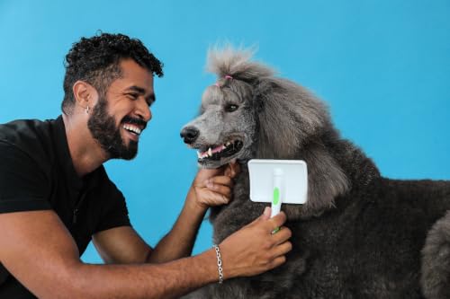 Andis 68565 Stainless-Steel Slicker Brush for Dogs and Cats - Durable and Lightweight Grooming Tool for All Breeds and Fur Lengths, Reduces Shedding and Promotes Hair Growth - Medium, Green