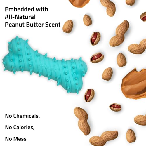 Playology Dog Toys | Teething Bone for Large Puppies and Young Dogs | Peanut Butter Scented Jumbo Dog Bone Chew Toy | Teething Puppy Essentials - size: Jumbo, style: Peanut Butter