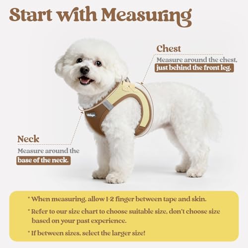 rabbitgoo Dog Harness Small Sized and Leash Set, Step in Soft Light Puppy Vest, Breathable Mesh Pet Harness, Reflective for Safe Easy Walking, Brown & Beige XXS - color: Brown & Beige, size: Xxs (chest: 12.4 - 14.2")