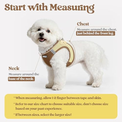 rabbitgoo Dog Harness Small Sized and Leash Set, Step in Soft Light Puppy Vest, Breathable Mesh Pet Harness, Reflective for Safe Easy Walking, Brown & Beige XXS - color: Brown & Beige, size: Xxs (chest: 12.4 - 14.2")