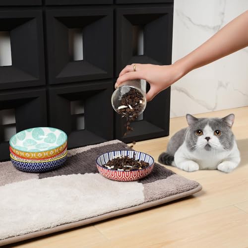 Selamica 세라믹 고양이 그릇, 14cm(5.6인치) 너비의 얕은 고양이 사료 그릇, 음식과 물용, 수염 친화적, 6개 세트, 다양한 색상 - color: 다양한 색상, size: 5.6 Inch, Set of 6