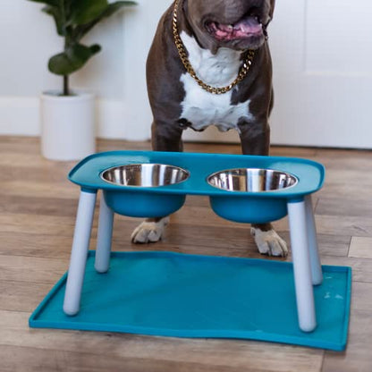 Messy Mutts Elevated Double Feeder with Stainless Bowls | Adjustable Height 3”, 5”, or 10” | Adjustable Standing Feeder for Dogs | 5 Cups per Bowl | Blue - color: Blue