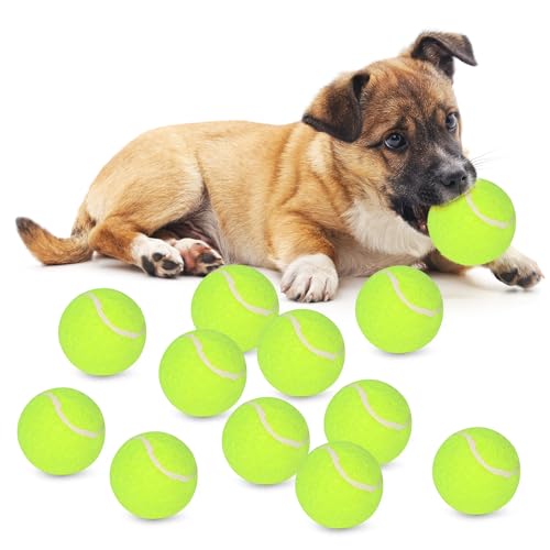Tennis Balls for Dogs, 12 Pack, 2-Inch Small Size, Indoor Outdoor Interactive Fetch Toys, Chew-Resistant Training Balls - color: white