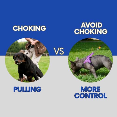 No Pull Dog Harness with Handle, Rear & Front Clip, Adjustable, Easy On/Off, Reflective, Lightweight & Mesh Padded, No Choke. Dog Harness Small Sized Dog (Purple-Black, Small) - color: Purple-Black, size: Small