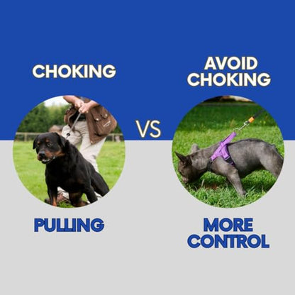 No Pull Dog Harness with Handle, Rear & Front Clip, Adjustable, Easy On/Off, Reflective, Lightweight & Mesh Padded, No Choke. Dog Harness Small Sized Dog (Purple-Black, Small) - color: Purple-Black, size: Small