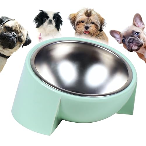 Tilted Dog Bowl for Flat-Faced & Senior Dogs, 15° Slanted Stainless Steel Dog Food Bowl, Elevated Pet Feeder for Small & Medium Dogs, Comfortable Eating Design (Green, M (420 ML / 1.5 Cups)) - color: Green