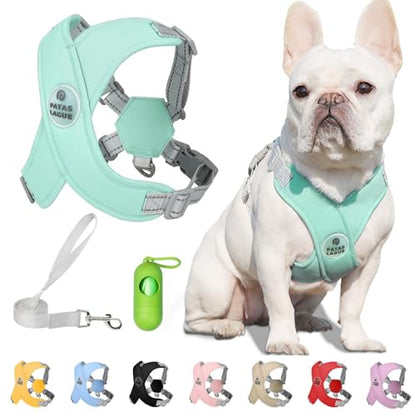 Patas Lague Dog Harness with Leash Set Adjustable Soft Padded Step-in Dog Vest No Choke No Pull Reflective for Small Pets with Poop Bags and Dispenser, Solid and No-chew, Green XS - color: Green, size: XS (Neck 16-19.1'' Chest 18.8-21.5'')