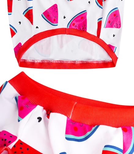 Dog Sleeveless T Shirt Fun Fruit Prints Pet Vest Shirt Soft Stretchy Summer Clothes for Large Dogs Boys Girls Clothes (X-Large,Watermelon) - color: Watermelon, size: XL