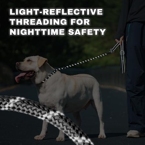 Arblina Slip Leads Dog Leash, 1/3" x4ft Full Reflective No Pull Rope Leash with Double Handle, 360°Swivel Anti-Tangle Heavy Duty Training Lead for Large Medium Small Dogs - color: Black, size: 1/3" x 4FT