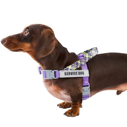 Service Dog Vest, No-Pull Service Dog Harness with 4 PCS Reflective Patches, Dog Vest Harness with Handle, Pet Harness for Small Medium Large Dogs in Training (Purple, S) - color: Purple Harness + 4 Patches, size: Small (Chest: 19-25")
