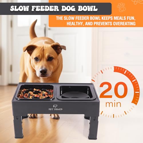 Elevated Dog Bowls with Collapsible Scoop, Slow Feeder Dog Bowls & No-Spill Water Bowl, Raised Dog Bowl Stand 4 Adjustable Heights for Small, Medium & Large Dogs - color: No-Spill Water Bowl & Slow Feeder Black