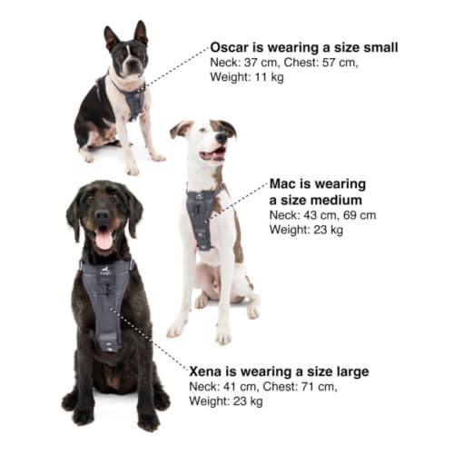 Kurgo Enhanced Strength Tru-Fit Dog Car Harness - Pet Travel Safety Harness - Crash Test Certified Fit - Five Point Adjustment - Secure Buckle - Padded Chest - Charcoal - Small