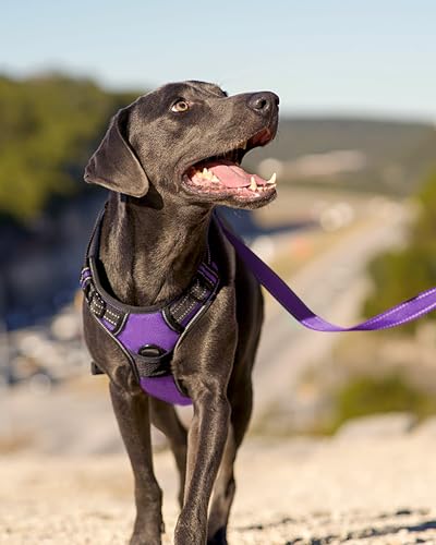 Joytale No Pull Dog Harness Medium Sized Dog, Reflective Pet Vest with Front Clip, Adjustable Soft Padded Harnesses with Easy Control Handle for Training and Walking, Purple, M - color: Purple, size: Medium