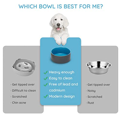 SPUNKYJUNKY 13.5OZ Ceramic Dog and Cat Bowl, Modern Cute Weighted Food Water Bowl for Replacement Blue-Grey (2 Pack) - color: Blue-grey, size: 1.7 CUPS × 2