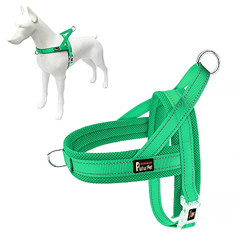 Plutus Pet No Pull Dog Harness with Breathable Mesh Padded, Adjustable Reflective Escape Proof Dog Harness, Quick Fit Dog Vest Harness for Small Medium Large Dogs(XXS, Green) - color: Green, size: XXS: chest 11.8"-15"