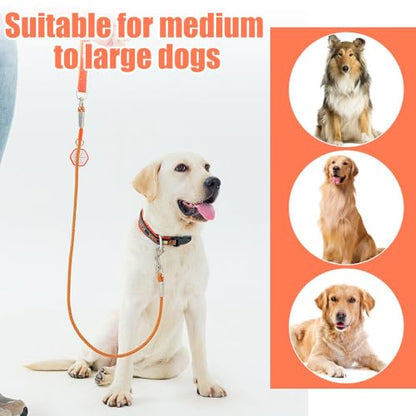 Dog Leash,Heavy Duty Dog Rope Lead with Soft Neoprene Padded Handle & 360° Swivel Clip for Medium Large Dogs (0.8cm*1.3/1.6m) - color: light green, size: 0.8*130cm