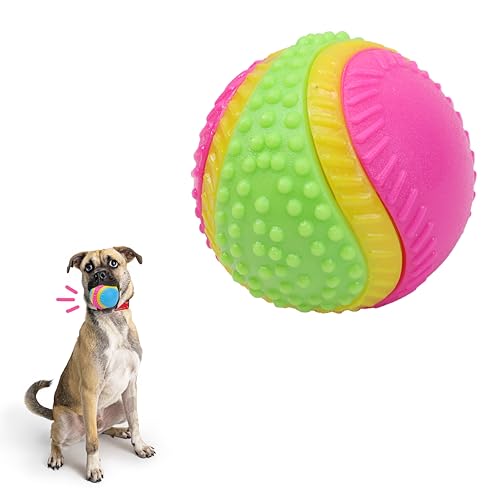 SPOT Sensory Ball for Soft Chewers - Stimulates All 5 Senses, Bell & Squeaker Sounds, Raised Nubs Clean Teeth, High Contrast Fetch Toy, Beef Scented, Durable TPR Rubber Ball, 2.5-inch - size: 2.5 inch (Pack of 1)